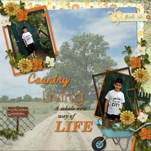 Country Living
