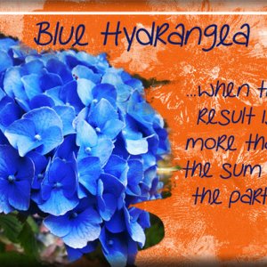 ATC 2017-84 Blue Hydrangea