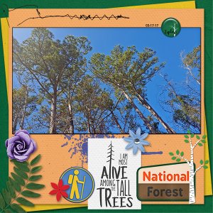 Southern Pines