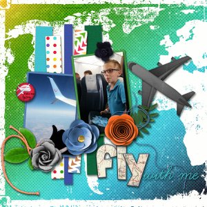 Fly