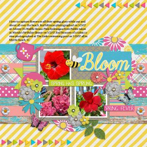 Beach In Bloom