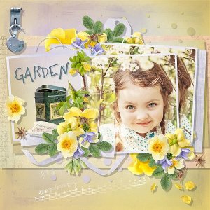 Tea Rose Garden