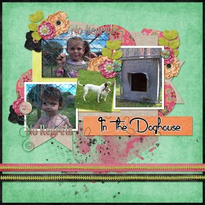 In the Doghouse