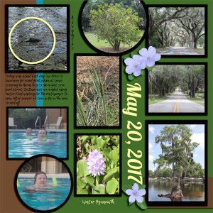 Florida_May_2017