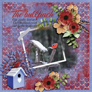 The-bullfinch