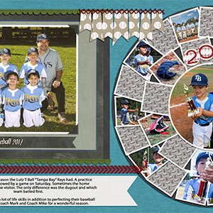 Rays- T Ball 2017