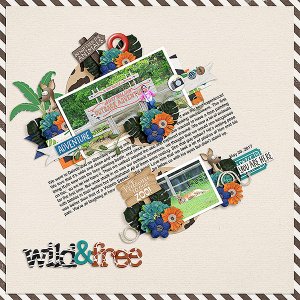 Wild + Free