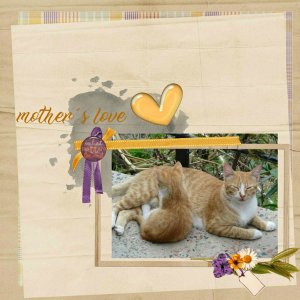 Mothers_love_17
