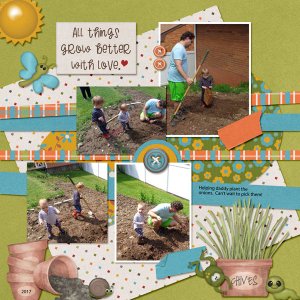 Onion Planting