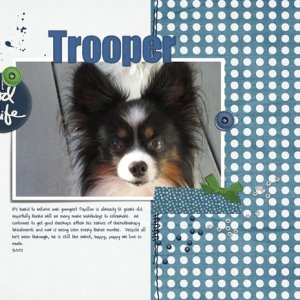 Trooper - the Good Life