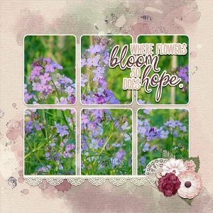 Wildflowers