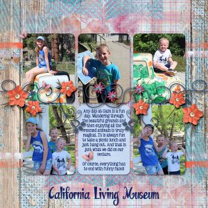 California Living Museum