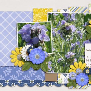 June
