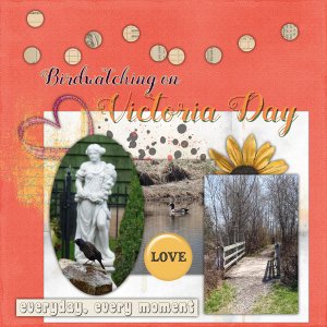 Birdwatching on Victoria Day