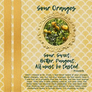 Sour Oranges