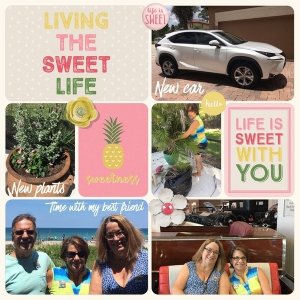 Sweet Life