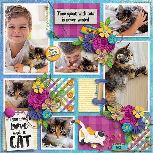 all you need is love and a cat