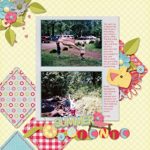 Summer Picnic