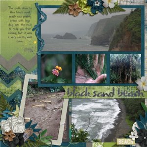 Hawaii Black Sand Beach