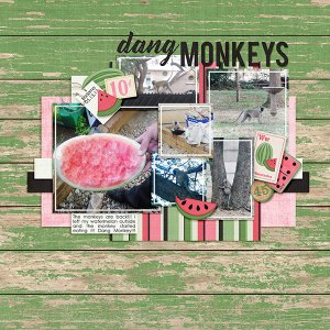Dang Monkeys
