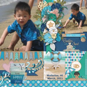 Aprilisa_PicturePerfect131_template4-and-Life_s-A-Beach-by-BGD