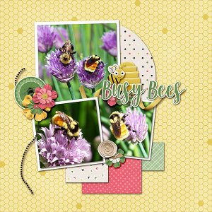 Bumblebees