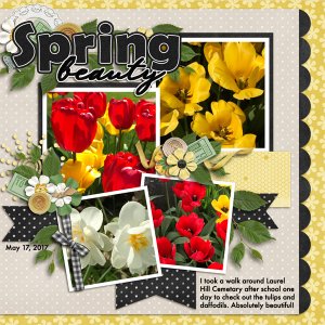 Spring Beauty