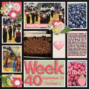 P52 Week 40 2016