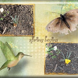 spring begins