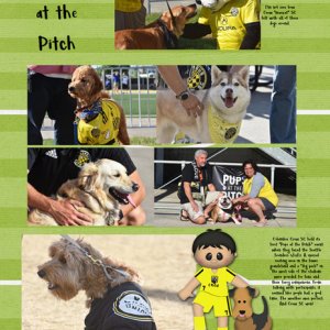 Pups at the Pitch