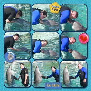 Swimming with the Dolphins- R