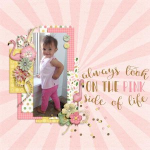 Pink Side of Life