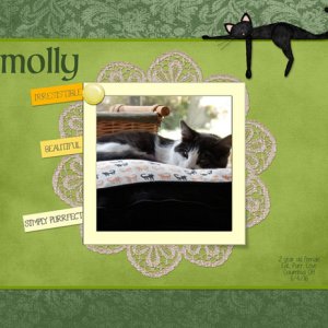 Molly