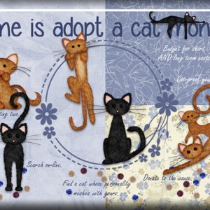 ATC 2017-87 June is Adopt a Cat Month!