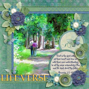 Life Verse