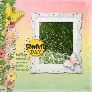 Sunny day flowers