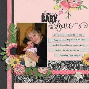 A Brand New Baby is a Gift of Love