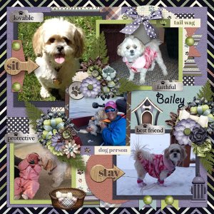 Tinci_MLIP20_1-and-JCD_Dog-Gone_Cute