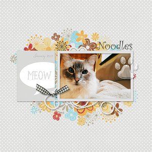 Noodles the Cat