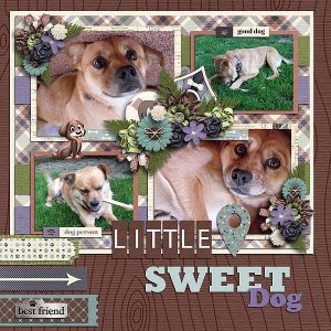 Dog - gone cute