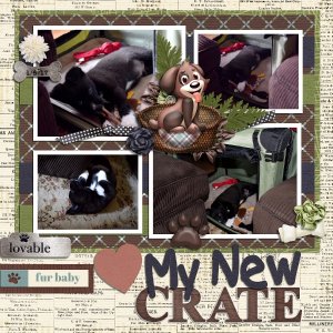 My New Crate