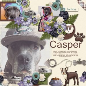 Casper