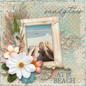 Sandy Toes