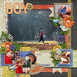 A Boy