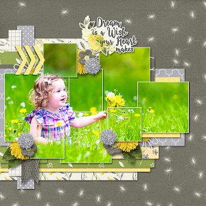 a dream is a wish