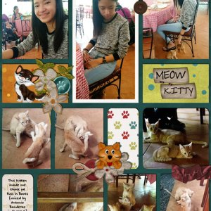 cats