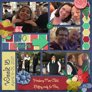 2017 - Week 15