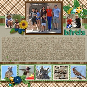 5-May_26_2017_small