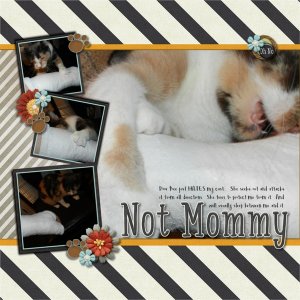 Not Mommy