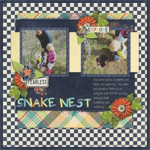 Snake Nest